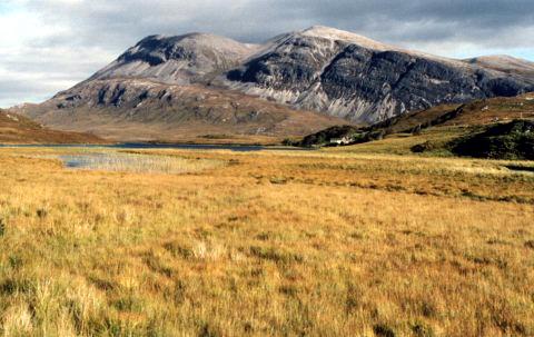 Arkle