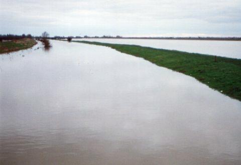 Flooding