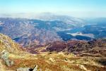 Ben Venue Top